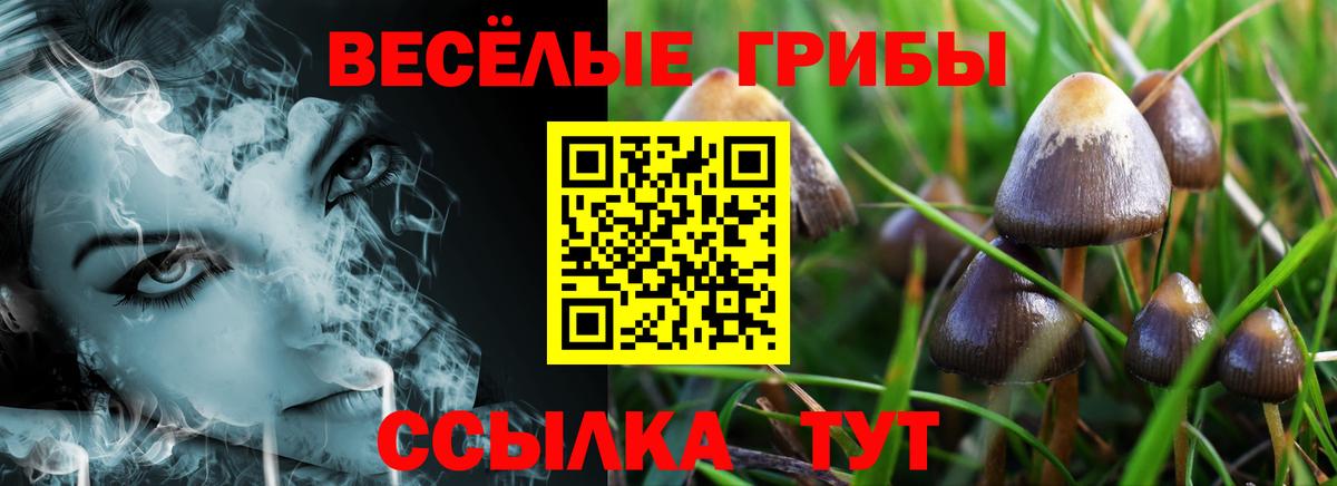 Урюпинск  Галлюциногенные грибы GOLDEN TEACHER  Вход с VPN 